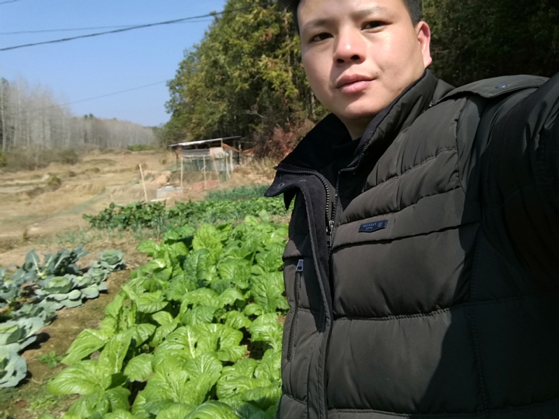 倔强的驴的第一张照片--泰宁相亲网