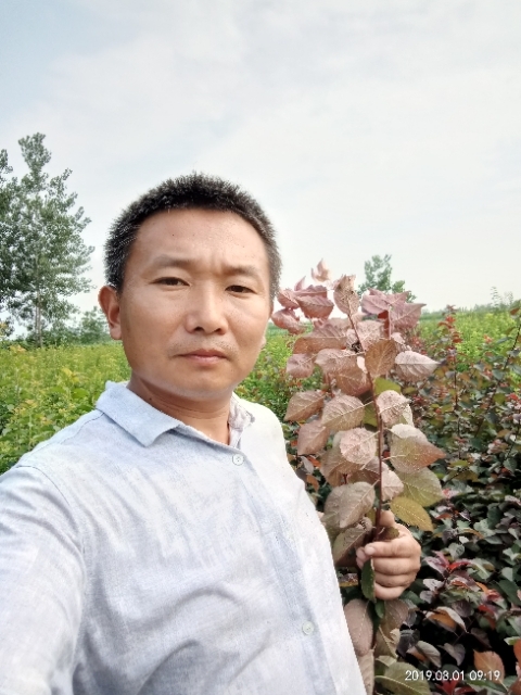 孩子爸的第一张照片--泰宁相亲网
