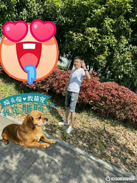 我若不坚强谁替我勇敢的第五张照片--泰宁相亲网