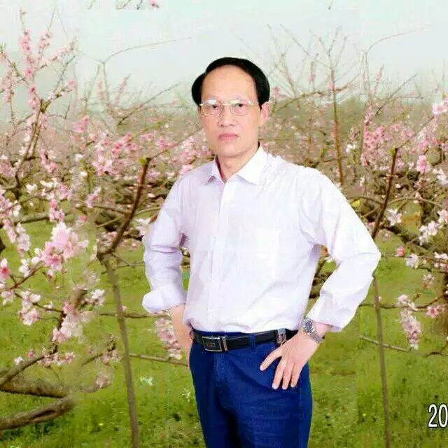 枫叶的第一张照片--泰宁相亲网